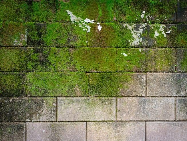 Surrey Industrial Blasting - Stone Cleaning
