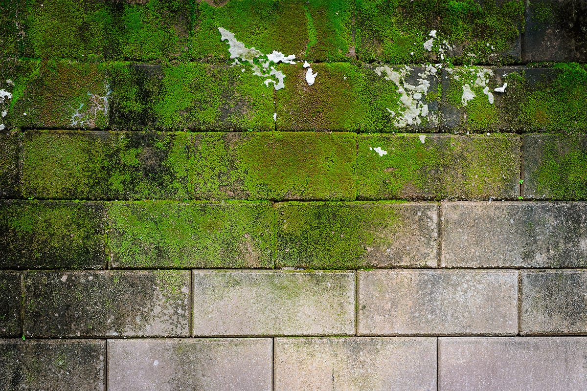 Surrey Industrial Blasting - Stone Cleaning 2 Surrey Industrial Blasting - Stone Cleaning