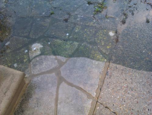 crazy-paving-steam-cleaning
